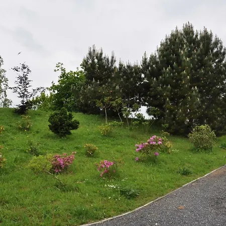 Domaine La Longre Bed & Breakfast